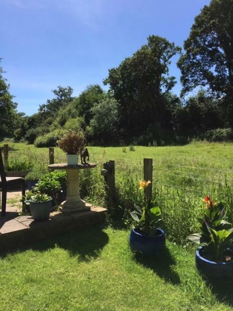 Bridge Cottage Midhurst Bagian luar foto